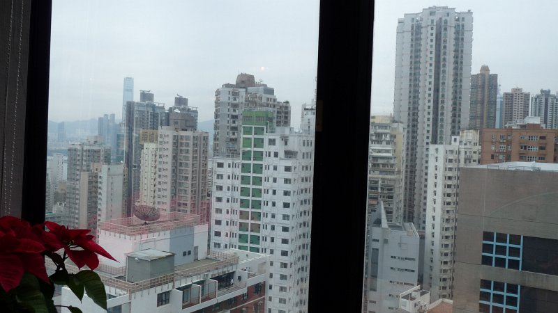 P1020068.JPG